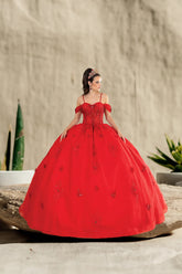 Lilac & Red Quinceañera Ball Gown with Floral Appliqué