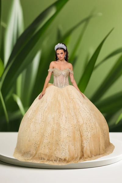 Solana Radiance Gown – Glitter Quinceañera Dress in 6 Colors