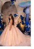 Celestia Enchanted Fairy Gown – Custom Couture for Magical Moments