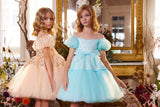 Special Occasion Girl Dress In Sequin Tulle Above The Knee Pageant Party Dress