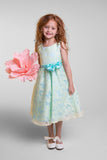 Sleeveless Organza Girls Special Occasion Party Dress