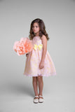 Sleeveless Organza Girls Special Occasion Party Dress