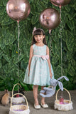 Sleeveless Organza Girls Special Occasion Party Dress