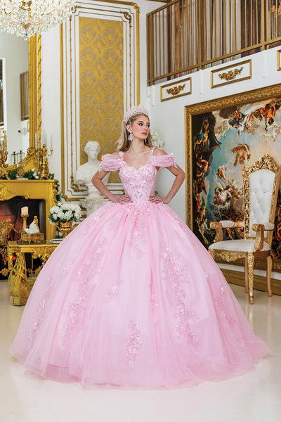 Rosalie Floral Quinceañera Ball Gown | Queen Collection