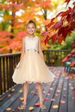 Skylar Aqua Lace Party Dress | Girls Pageant & Birthday Dress