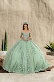 Esmerelle Sage Quinceañera Gown – 3D Floral Ballgown Dress