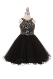 Girls Crystal Embellished Tulle Pageant Party Special Occasion Short Dress