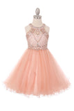 Girls Crystal Embellished Tulle Pageant Party Special Occasion Short Dress