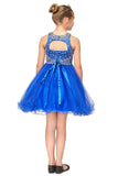 Girls Crystal Embellished Tulle Pageant Party Special Occasion Short Dress