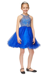 Girls Crystal Embellished Tulle Pageant Party Special Occasion Short Dress