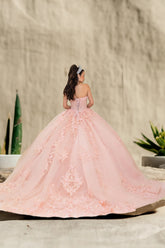 Rosalyn Bloom Quinceañera Dress – Blush Pink Ball Gown Elegance