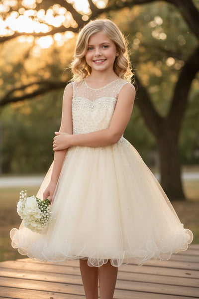 Girls Pageant Dress Affordable Party Dress Illusion Neck Blush Collection