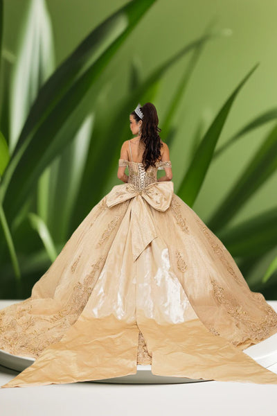 Aurielle Royale Gold Quinceañera Gown – Elegant Ballgown Dress