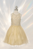 Mauve Beaded Tulle Party Dress | Girls Pageant & Birthday Dress
