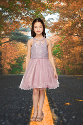 Mauve Beaded Tulle Party Dress | Girls Pageant & Birthday Dress