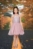 Mauve Beaded Tulle Party Dress | Girls Pageant & Birthday Dress