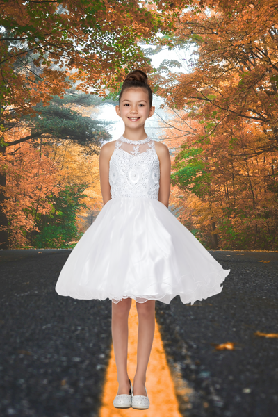 Mauve Beaded Tulle Party Dress | Girls Pageant & Birthday Dress