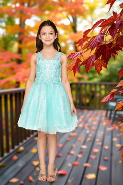 Sophia Blush Pink Glitter Party Dress for Girls
