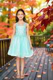 Sophia Blush Pink Glitter Party Dress for Girls