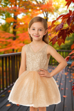 Sophia Blush Pink Glitter Party Dress for Girls
