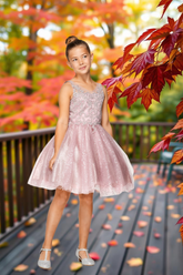 Sophia Blush Pink Glitter Party Dress for Girls