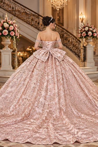 Vionessa Luxury Quinceañera Dress | Queens Collection