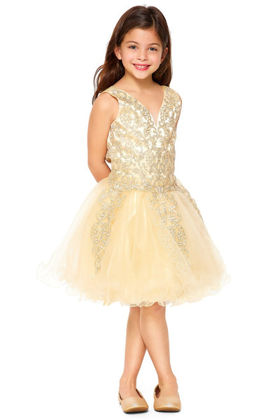 Girls Pageant Dress Budget Friendly Party Dress Blush Collection
