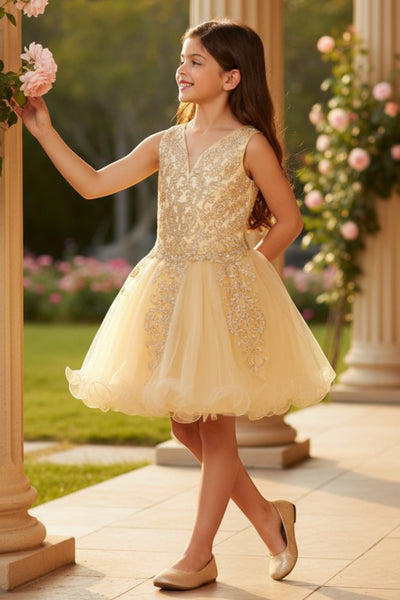 Girls Pageant Dress Budget Friendly Party Dress Blush Collection