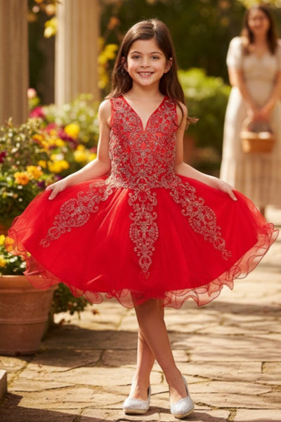 Girls Pageant Dress Budget Friendly Party Dress Blush Collection