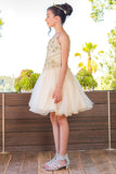 Girls Illusion Beauty Pageant Glitter Tulle Beaded Embroidered Short Dress