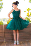 Girls Illusion Beauty Pageant Glitter Tulle Beaded Embroidered Short Dress