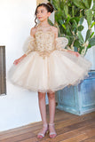 Girls Beaded Embroidered Tulle Pageant Party Special Occasion Short Dress