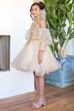 Girls Beaded Embroidered Tulle Pageant Party Special Occasion Short Dress