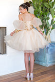 Girls Beaded Embroidered Tulle Pageant Party Special Occasion Short Dress