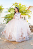 Mini Quince Princess Flower Girl Pageant Floral Embroidered Illusion Party Gown