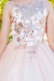 Mini Quince Princess Flower Girl Pageant Floral Embroidered Illusion Party Gown