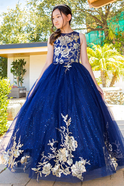 Mini Quince Princess Flower Girl Pageant Floral Embroidered Illusion Party Gown