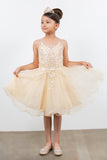Marla Crystal Embellished Girls Tulle Pageant Short Dress