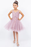 Marla Crystal Embellished Girls Tulle Pageant Short Dress