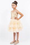 Blush Princess Layered Party Dress – Perfect for Birthdays & Pageants