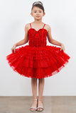 Blush Princess Layered Party Dress – Perfect for Birthdays & Pageants