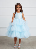 The Unforgettable Alora Girls Dreamy Tulle Dress