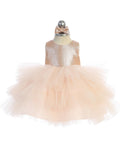 Beautiful Baby Party Dress With Glitter Bodice And Ruffle Skirt