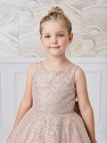 Stunning Girls Winner Glitter Pageant Dress With Train