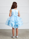 Adorably Cute Flower Girl Pageant Dress With Glitter Ruffled Skirt