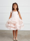 Adorably Cute Flower Girl Pageant Dress With Glitter Ruffled Skirt