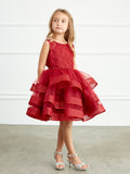 Adorably Cute Flower Girl Pageant Dress With Glitter Ruffled Skirt
