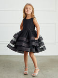 Adorably Cute Flower Girl Pageant Dress With Glitter Ruffled Skirt