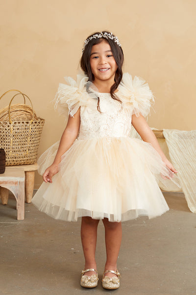 Marianna Girls Glitter Tulle Party Pageant Dress