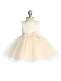 Lia Baby Girls Satin Tulle Party Dress for Your Little Princess